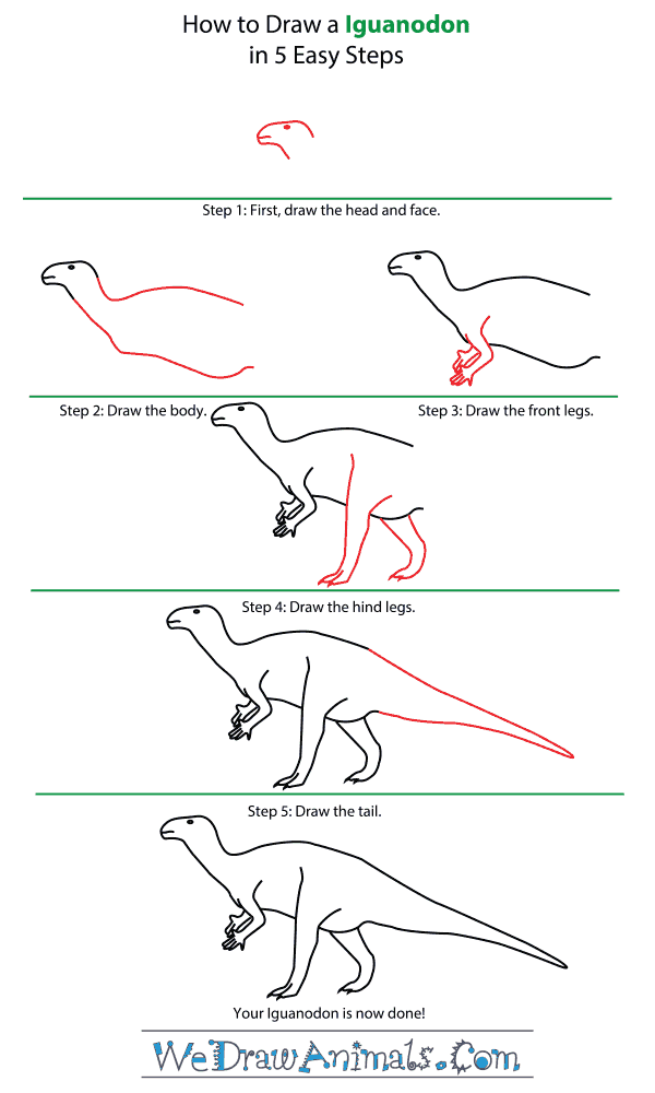 How to Draw an Iguanodon