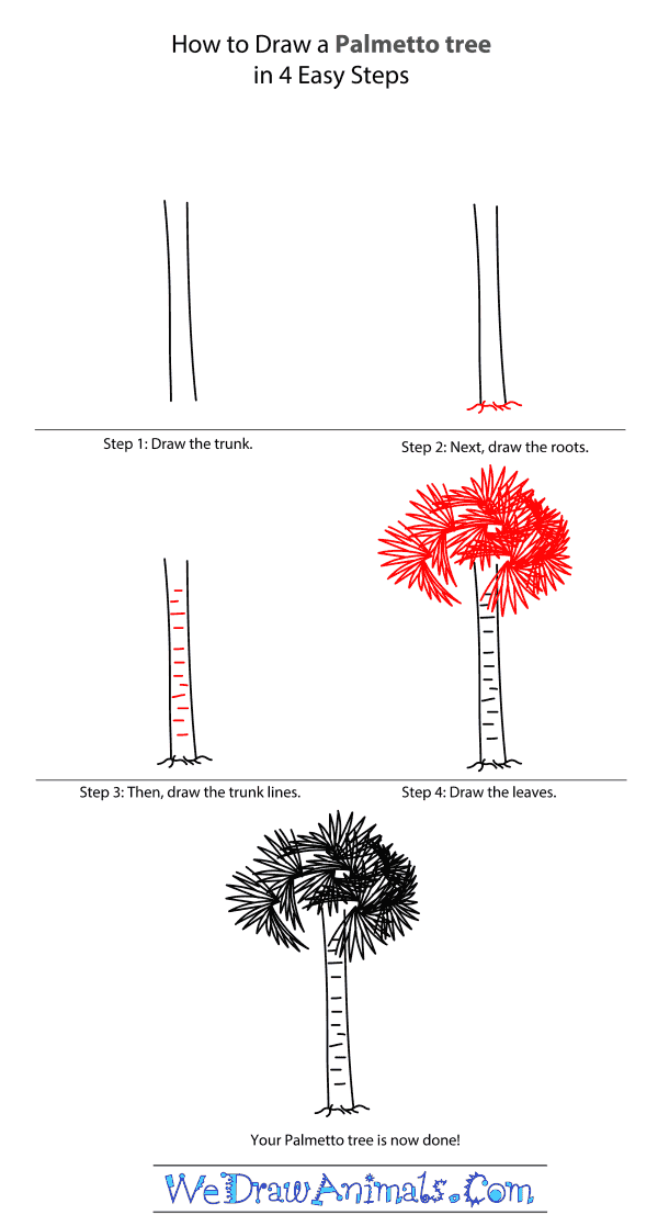How to Draw a Palmetto Tree