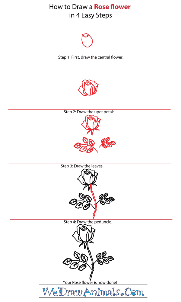 How to Draw a Rose Flower