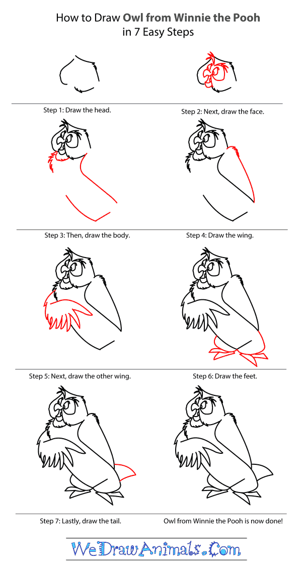 How to Draw Owl From Winnie The Pooh