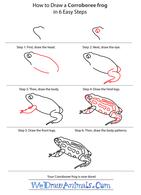 How to Draw a Corroboree Frog