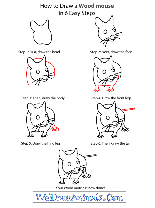 How to Draw a Wood Mouse