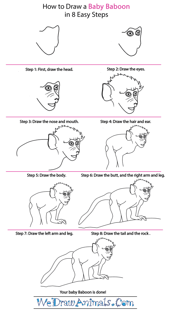 How to Draw a Baby Baboon