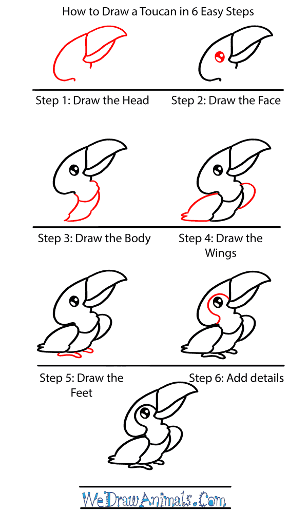 How to Draw a Baby Toucan