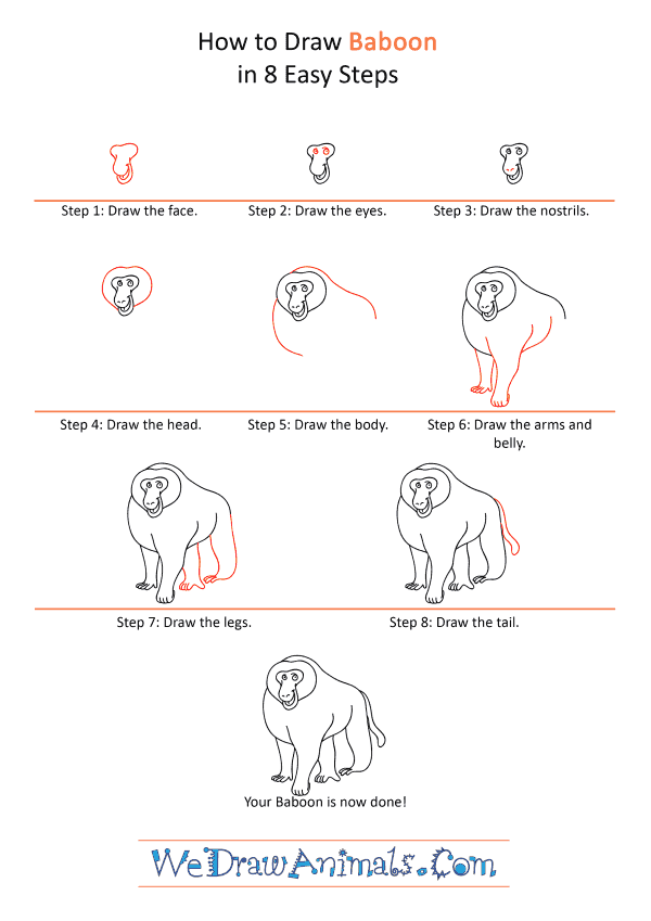 How to Draw a Cartoon Baboon