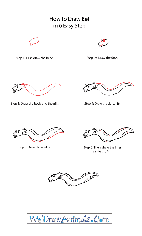 How to Draw a Cartoon Eel