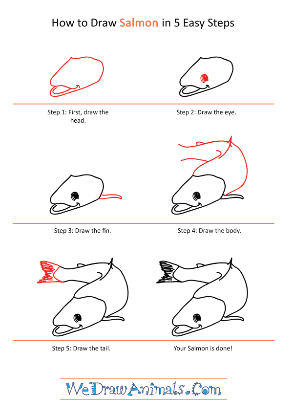 How to Draw a Cartoon Salmon
