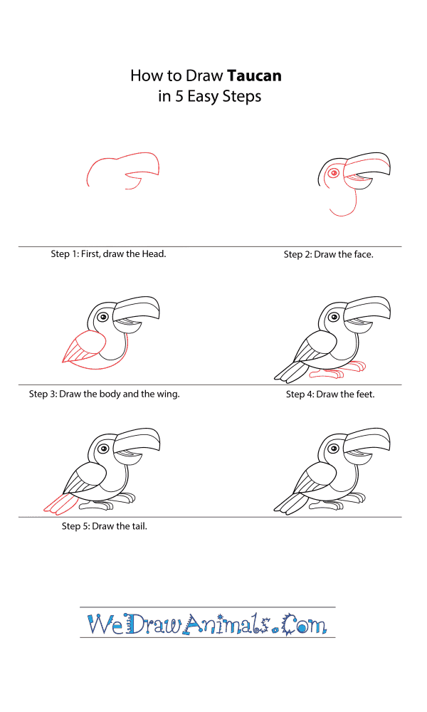 How to Draw a Cartoon Toucan
