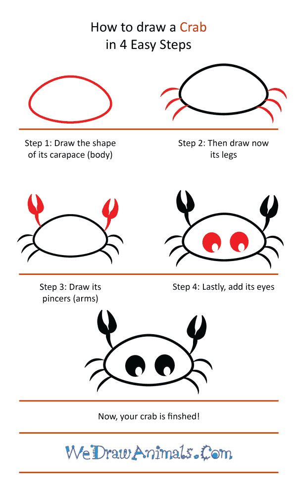 How to Draw a Cute Crab