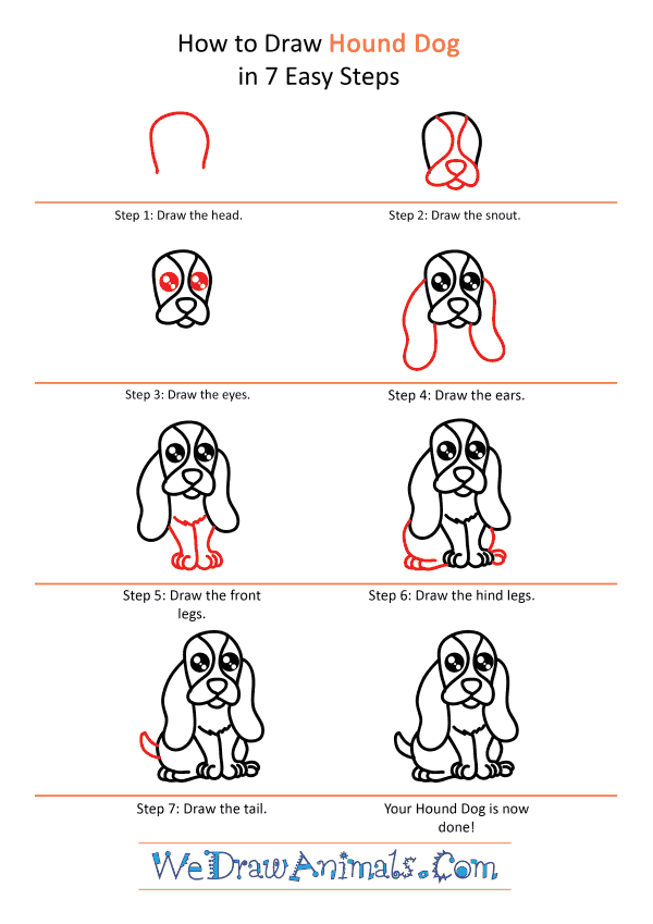 How to Draw a Cute Hound Dog
