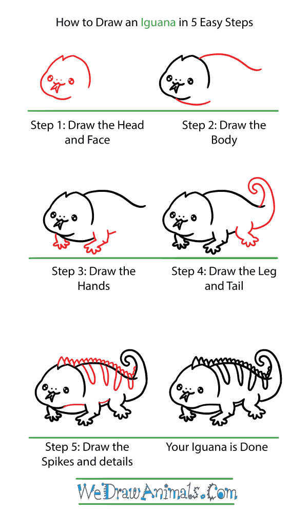 How to Draw a Cute Iguana