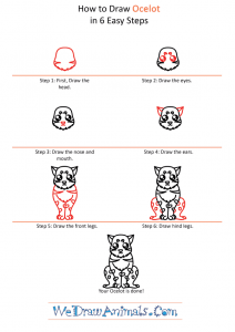 How to Draw a Cute Ocelot