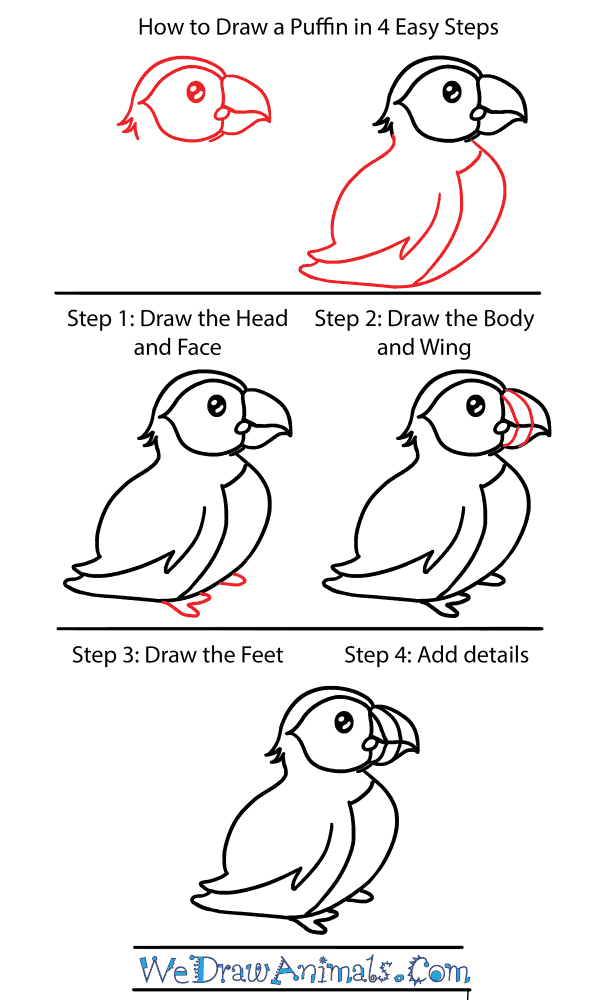 How to Draw a Cute Puffin