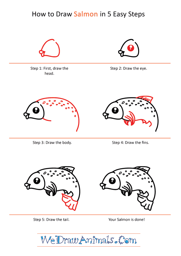 How to Draw a Cute Salmon
