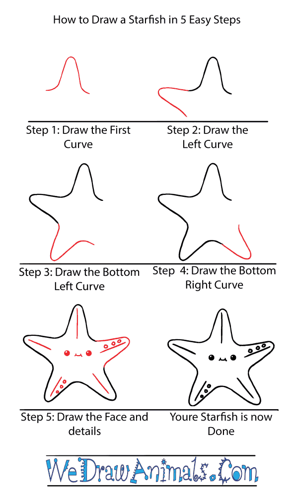 How to Draw a Cute Starfish