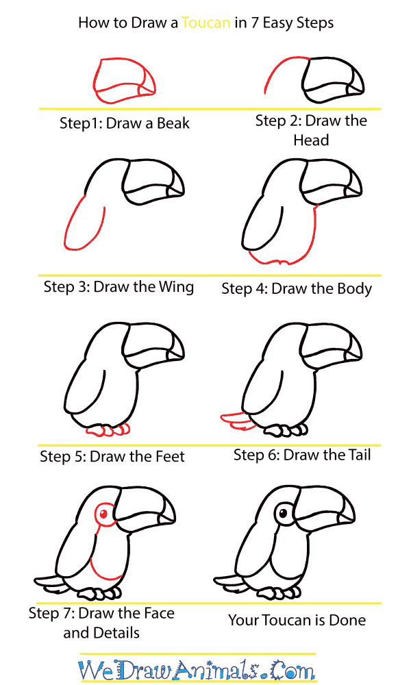 How to Draw a Cute Toucan