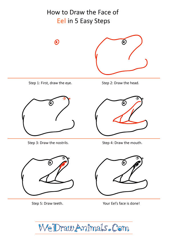How to Draw an Eel Face