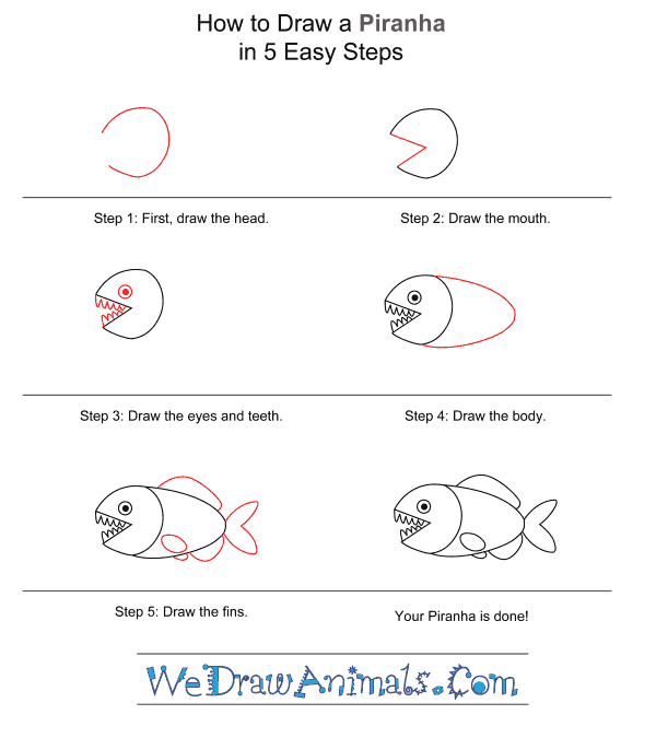 How to Draw a Simple Piranha for Kids
