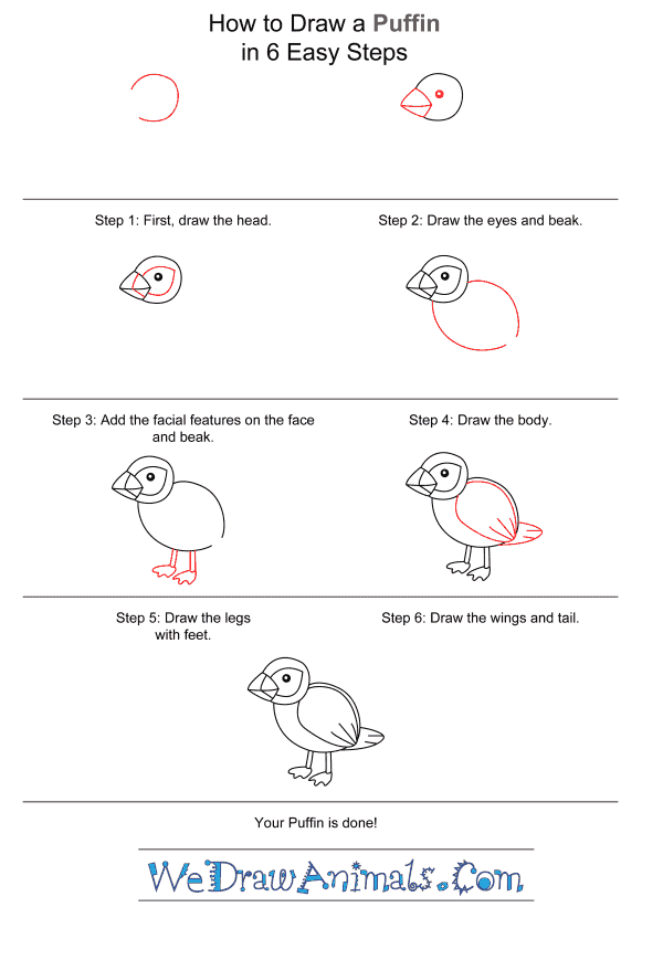 How to Draw a Simple Puffin for Kids