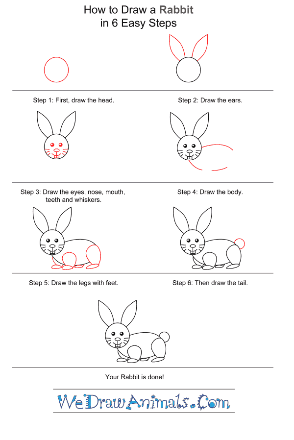 How To Draw A Rabbit Step By Step For Kids