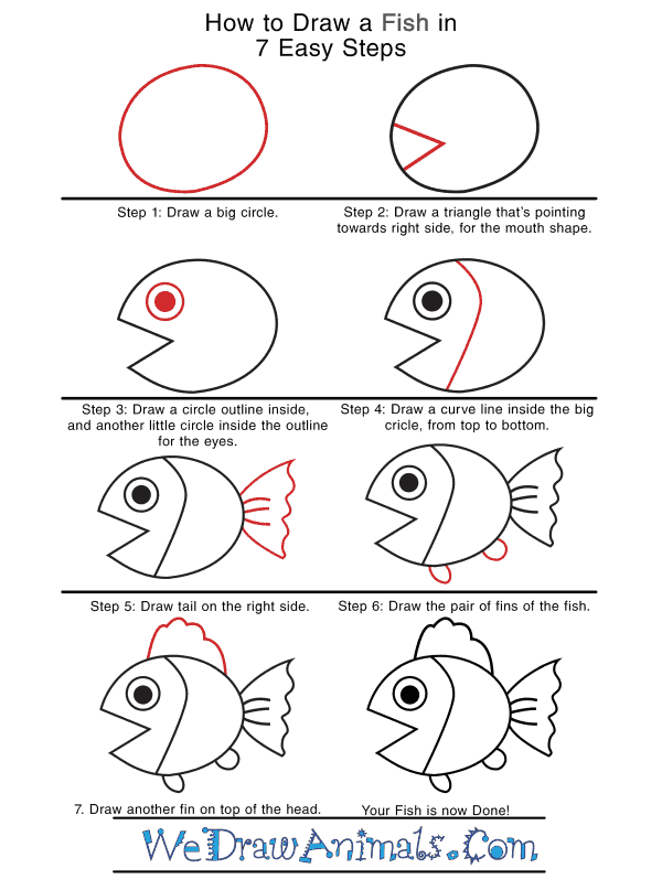 How to Draw a Realistic Fish