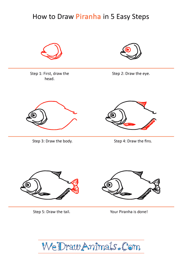 How to Draw a Realistic Piranha