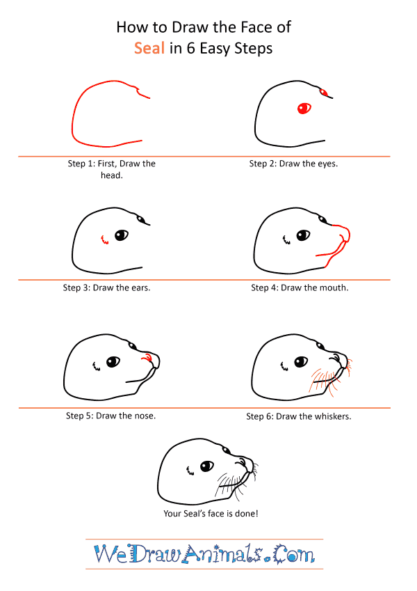 How to Draw a Seal Face