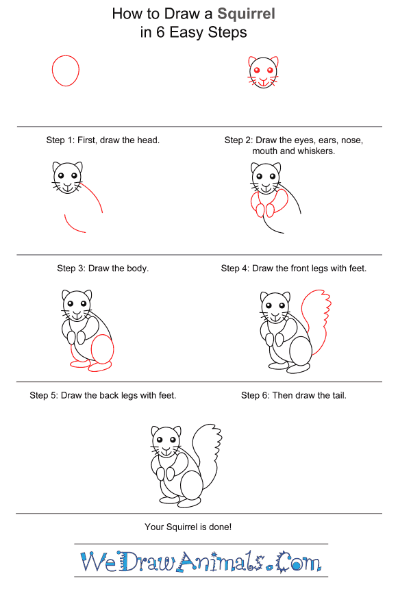 How to Draw a Simple Squirrel for Kids