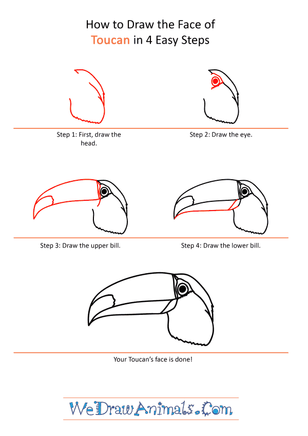 How to Draw a Toucan Face