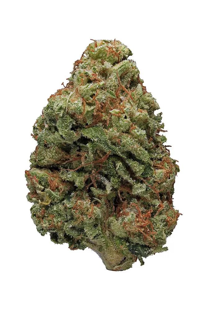 Bruce Banner Sativa Unleash The Beast Mount Herbal Cannabis Delivery