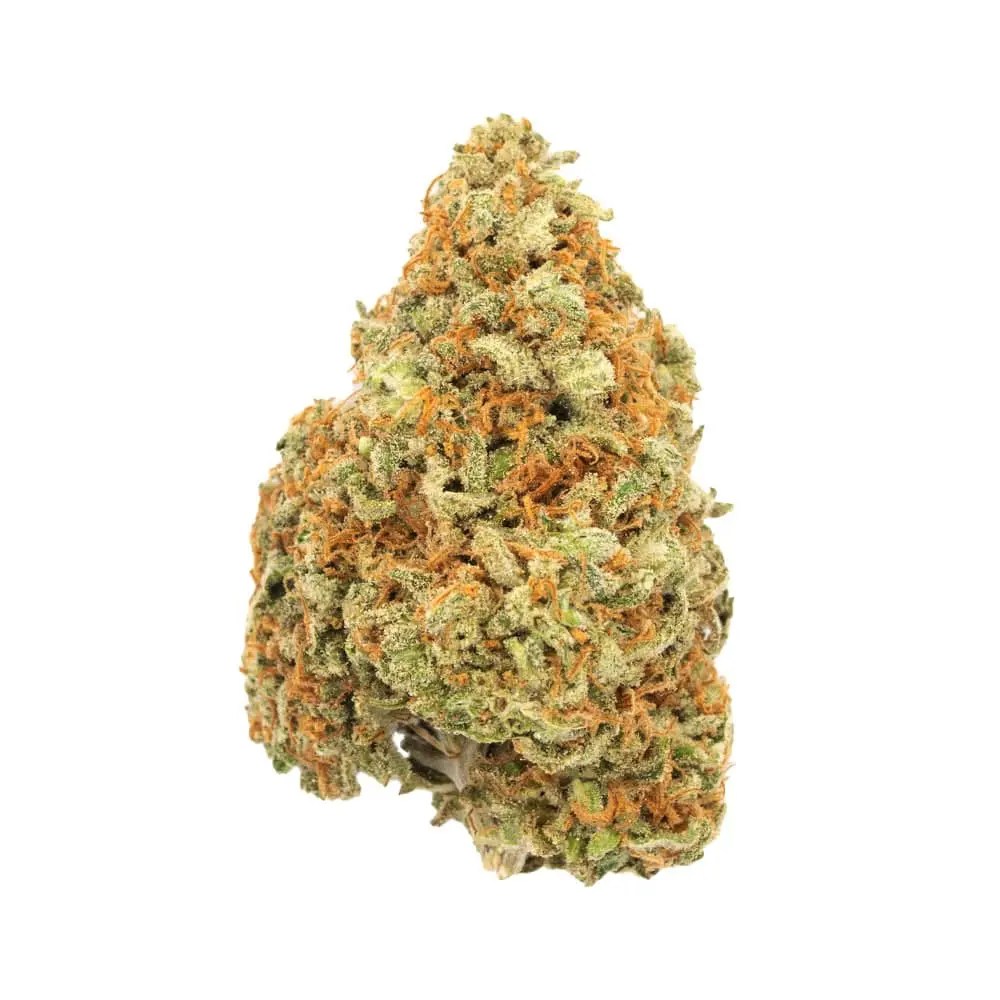 Lemom Cake Sativa Its back and better than ever Mount Herbal Cannabis Delivery