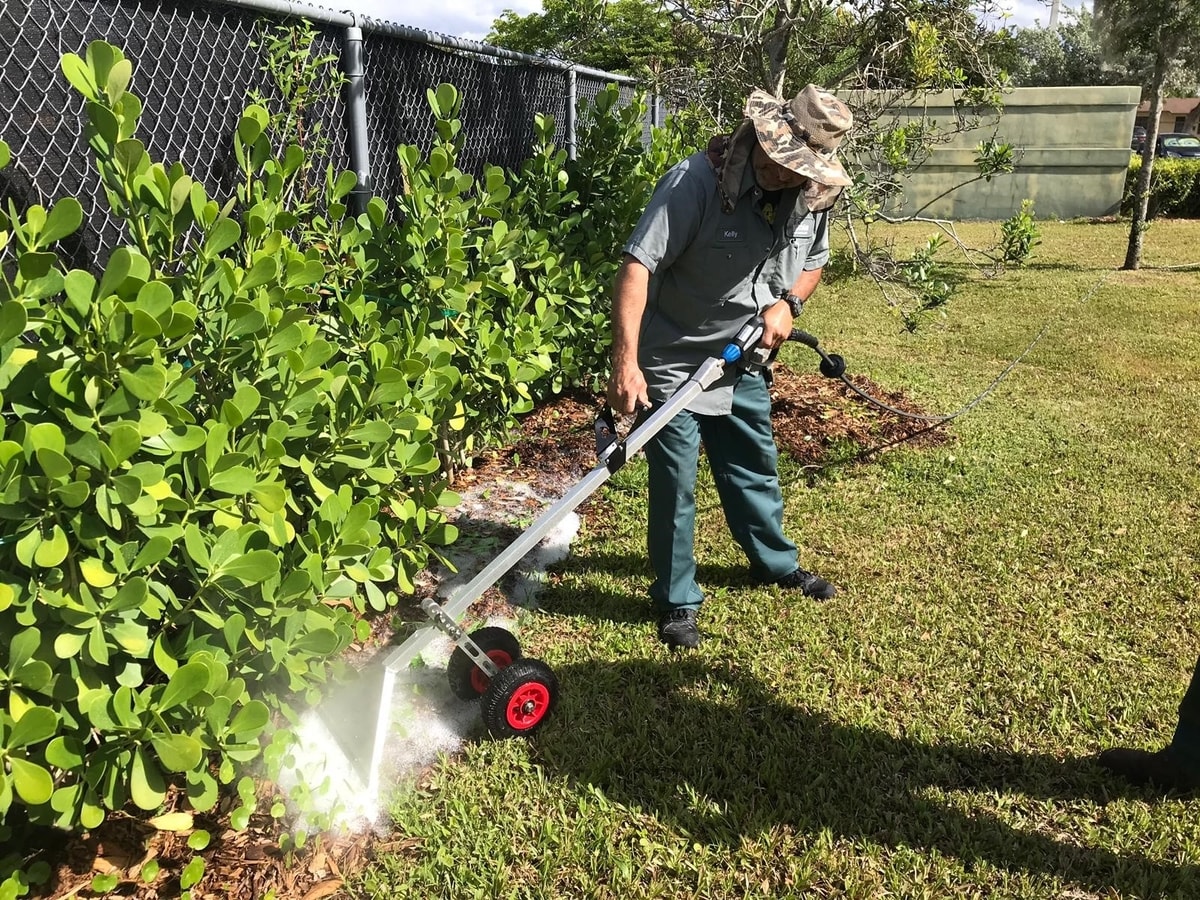 Alternatives to glyphosate Weedingtech