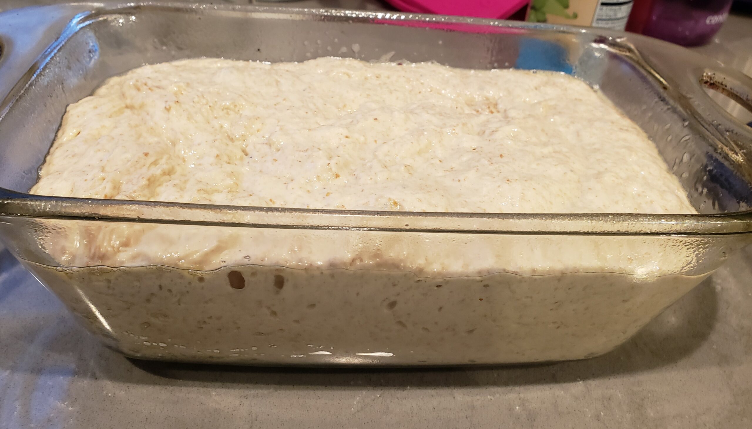 Make Bread, Save Bread! Weer'd World