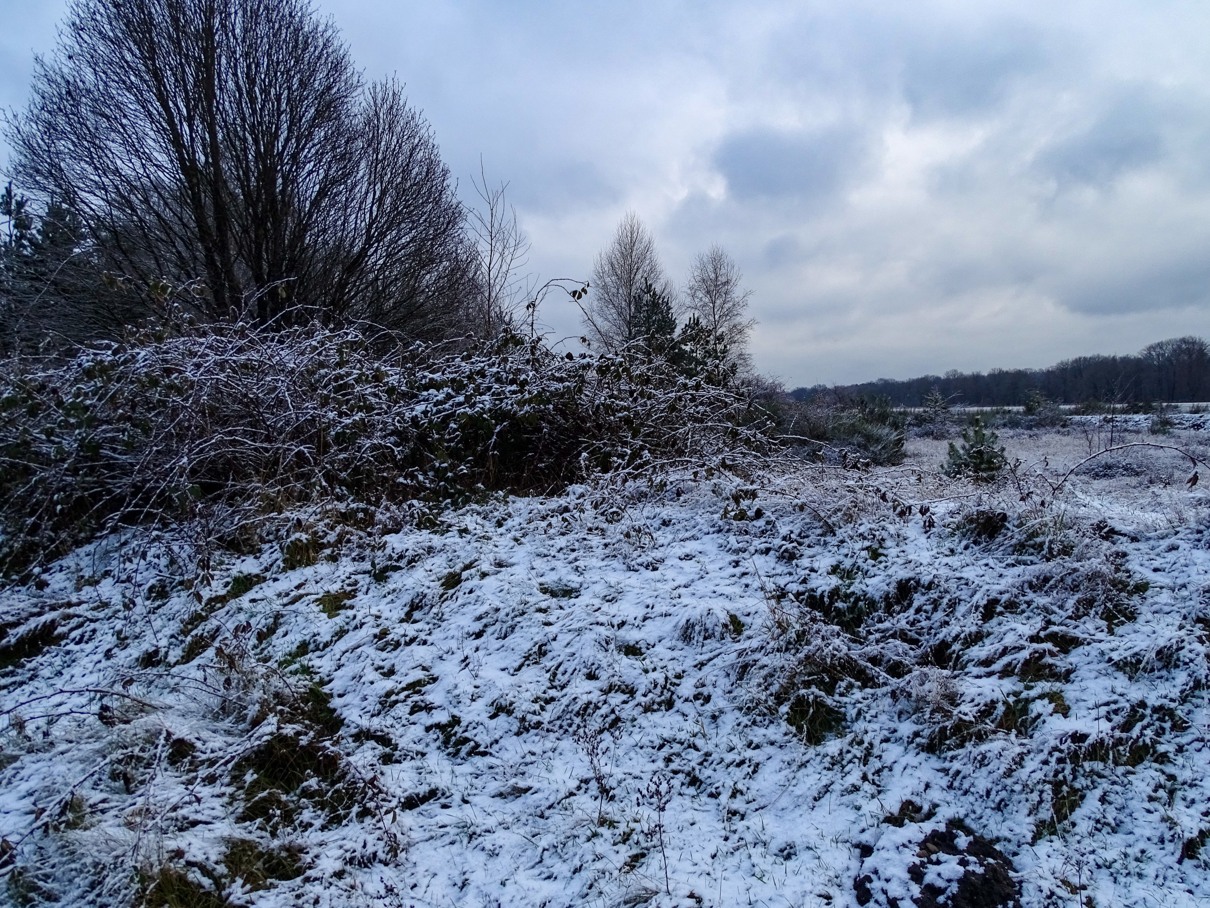 Weerwoord Witte Kerstdag in Venlo‘t Ven