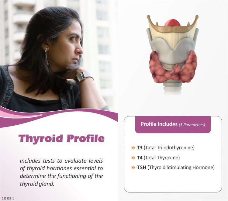 Thyroid Function Test (TFT) Test Price Rs. 350 At thyrocare Best Online