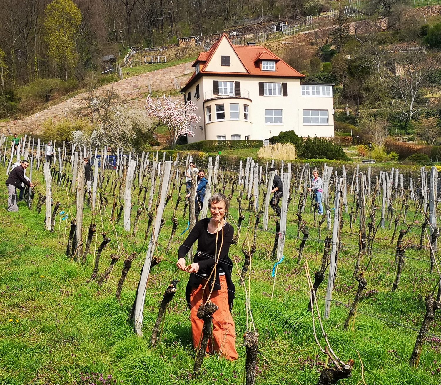 Impressionen Weingut Karl Friedrich Aust