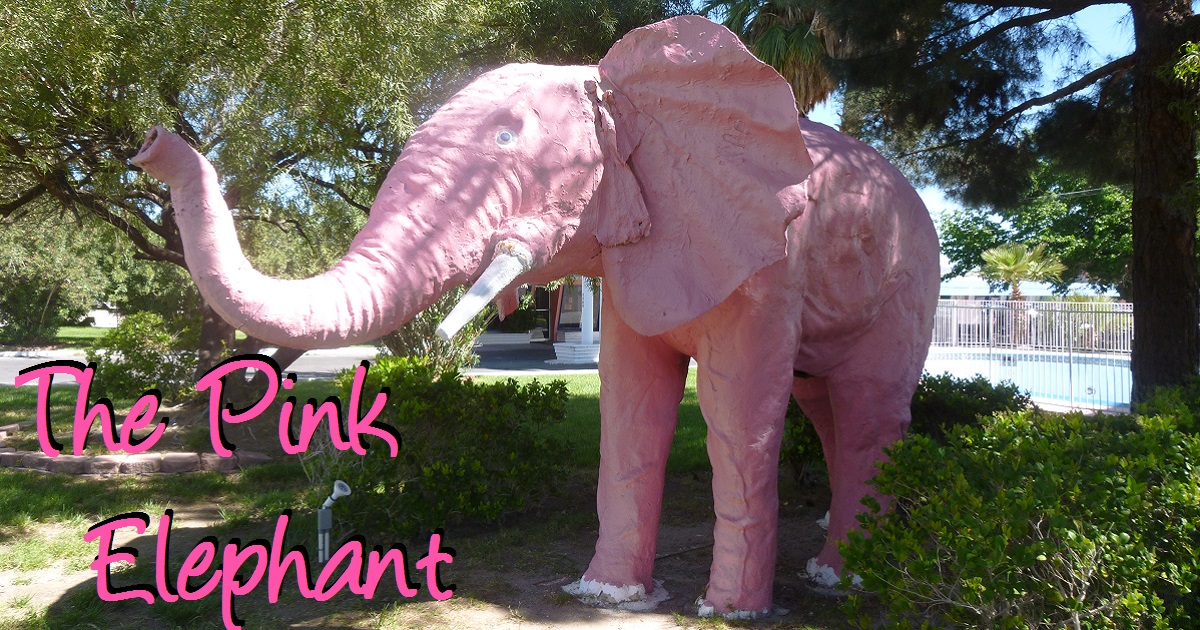 Pink Elephant Weird California