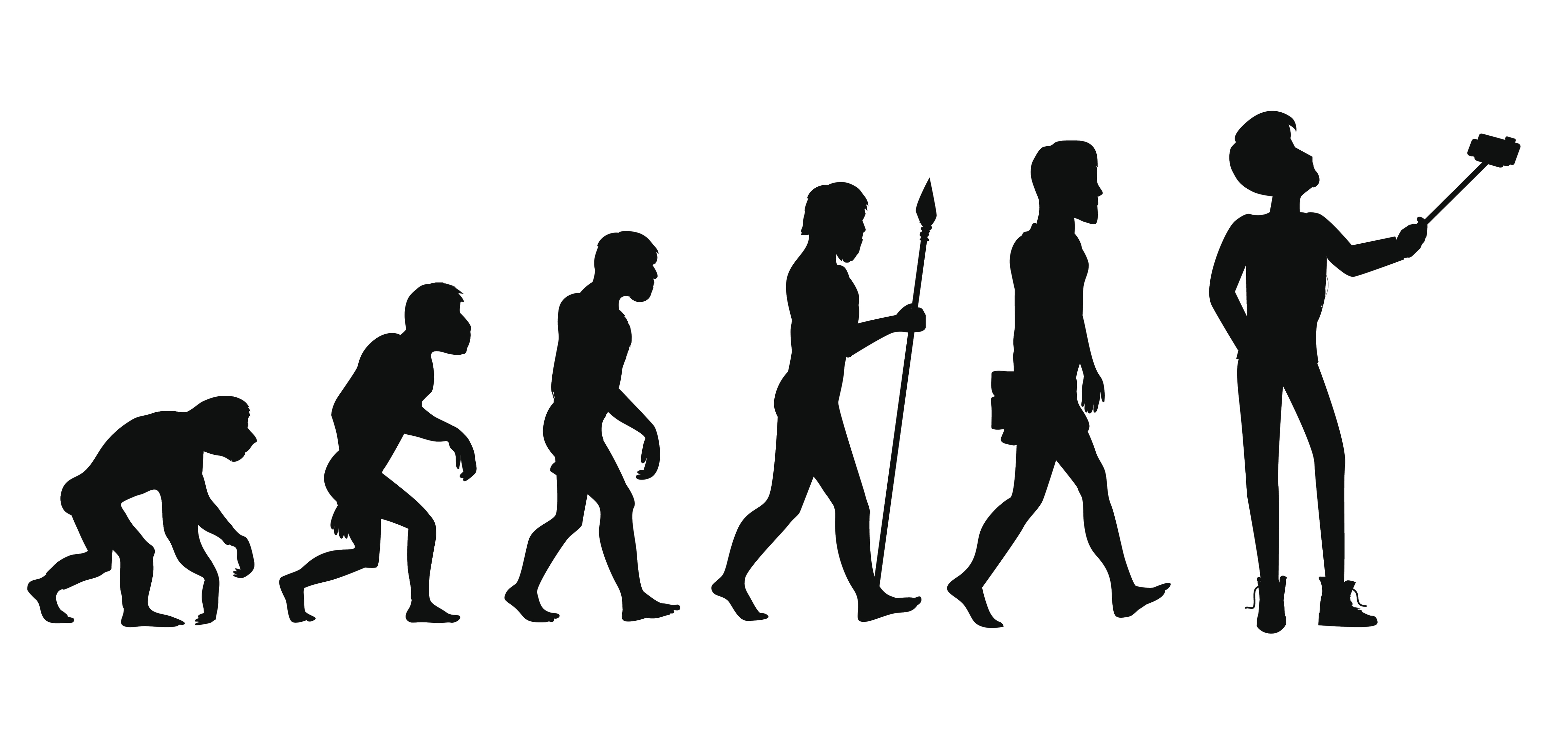 Human Evolution from Ape to Man We Know Data