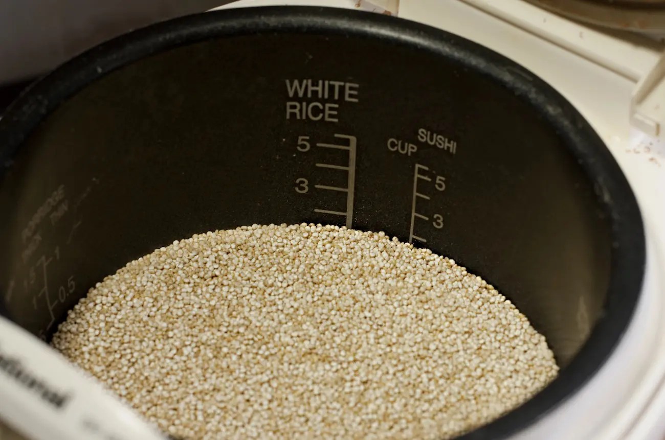 4 Tips on Choosing a Rice Cooker Inner Pot Replacement We Know Rice
