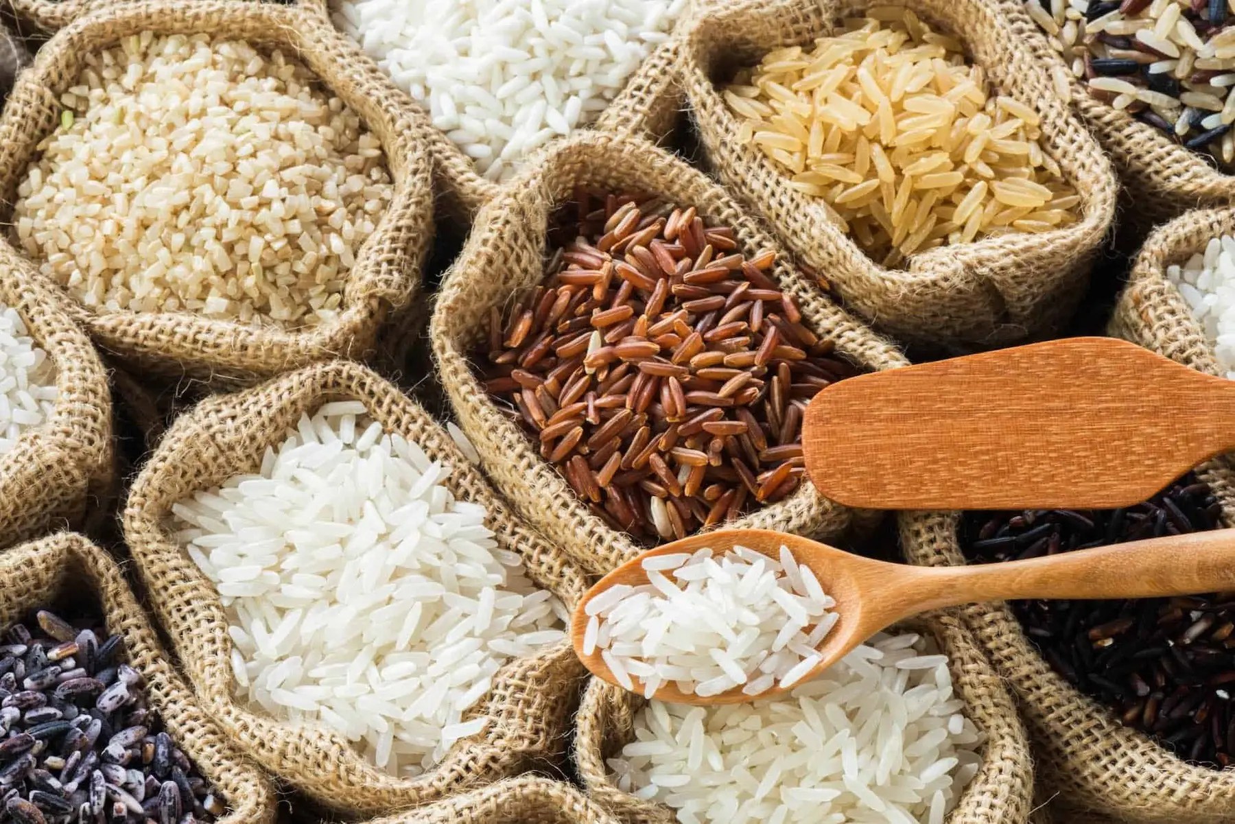 What Kind of Rice is Good for You? We Know Rice