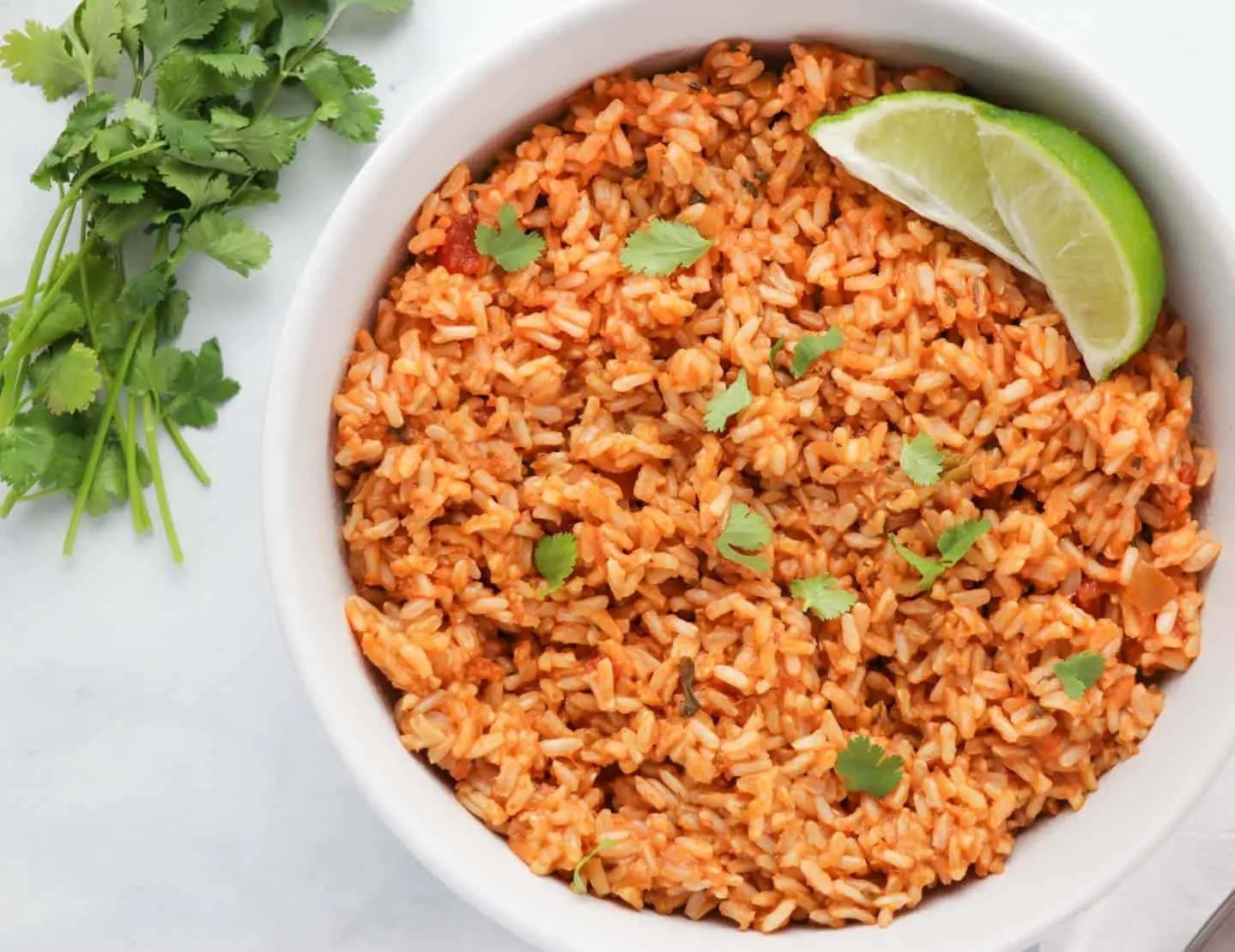 Salsa Rice Recipe We Know Rice