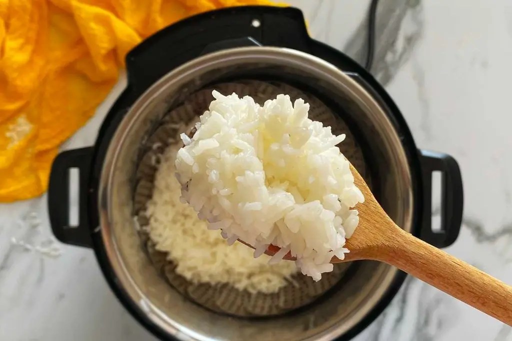 How to Use a Pressure Cooker for Rice We Know Rice