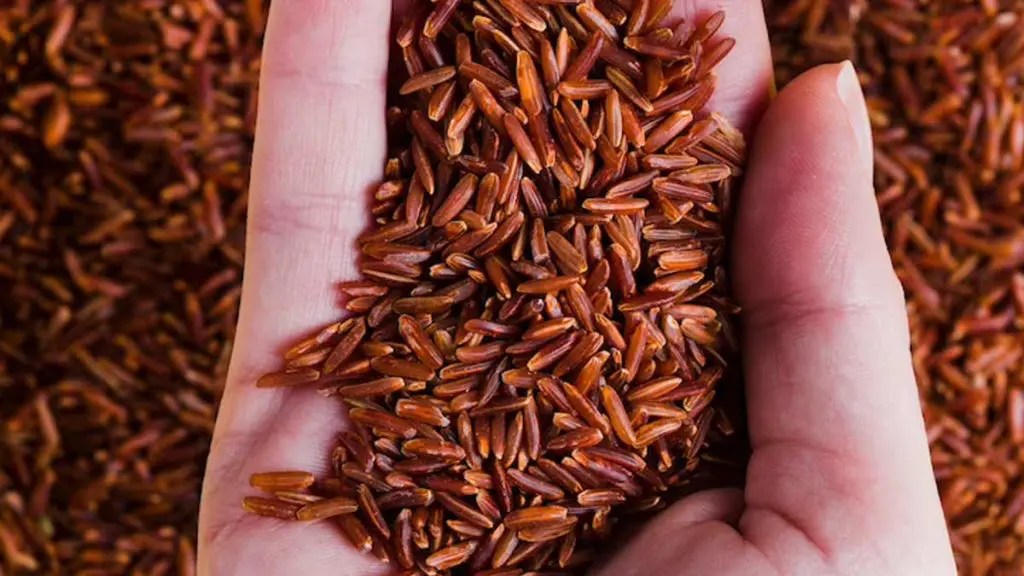Is Red Rice Good For Diabetes? We Know Rice