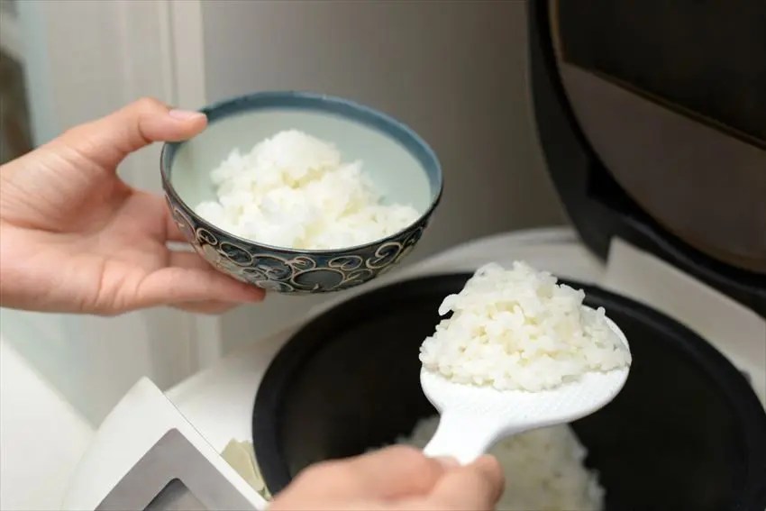 Rice Cooker Rice vs Stove Top Rice Which is Better? We Know Rice