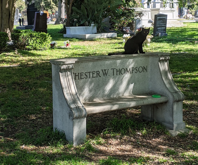 Are Dogs Allowed In Hollywood Cemetery