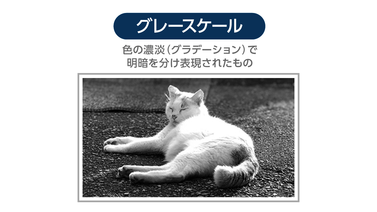 グレースケール ウイルの印刷用語集