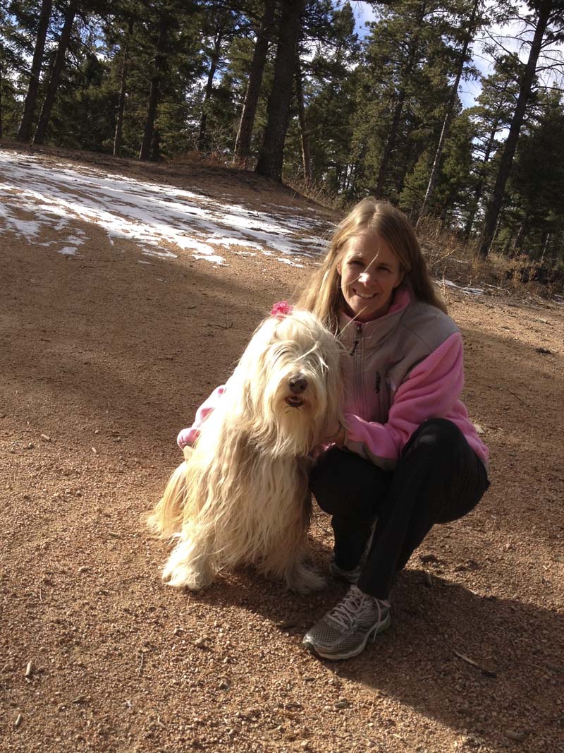View Dog Training Ogden Utah Gif Dog House Cute