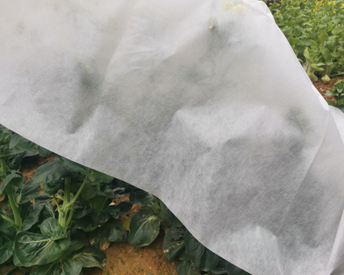 Plant care products, Shade cloth, Row cover