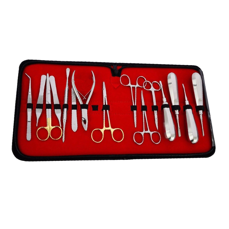 Dental Extraction Kit Extracting Instruments Set Well Grow International