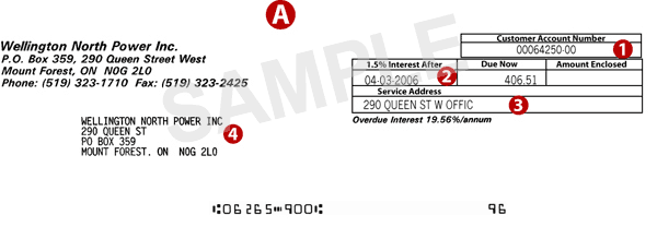 Your Electricity Bill Wellington North Power Inc.